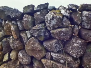 a grey stone wall illustrating a post about developing a rocky Galway garden