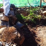 permaculture garden - messy area of soil and rocks