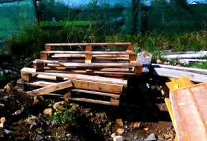 pallets illustrating an article about growing a permaculture garden