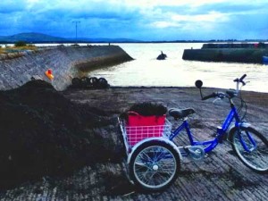 World Food Day - image of a trike with a basket of seaweed