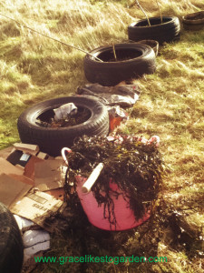 tyres-and-seaweed