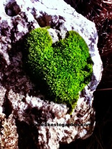 mossy-green-heart
