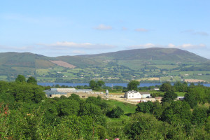 lough-derg-view-willow
