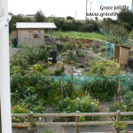 garden with writer's hut strating an article about a permaculture garden