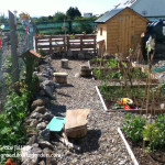 raised beds in vegetable garden Illustrating an article about growing a permaculture garden