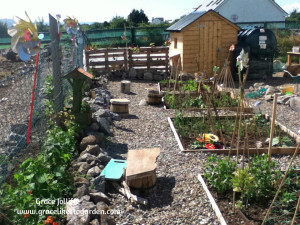 raised beds in vegetable garden Illustrating an article about growing a permaculture garden