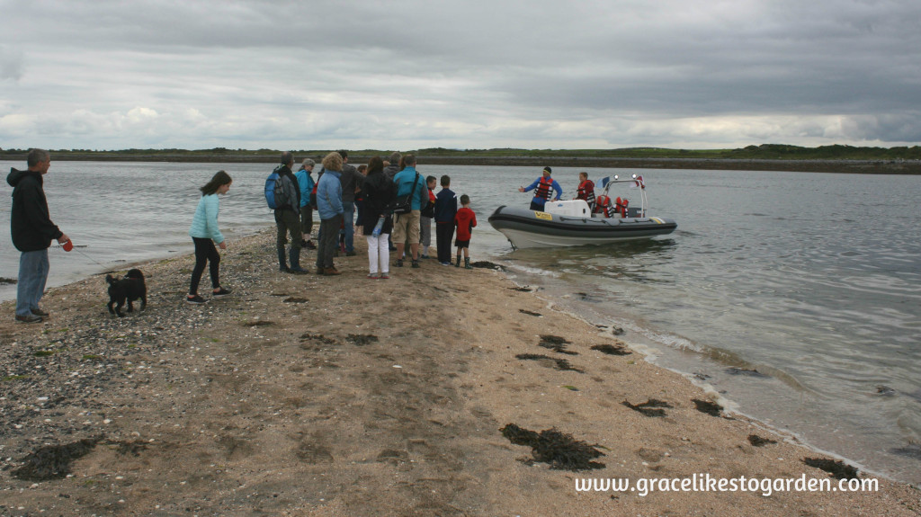 People waiting for a boat from Island Eddy beautiful causeway on Island Eddy illustrating an article about Wild Teasel