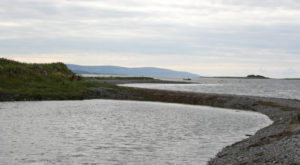 Sea view illustrating article on wheelchair gardening